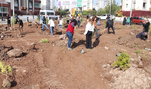 Diyarbakır Kayapınar'da kadınlar nar ağacı dikti! İşte sebebi