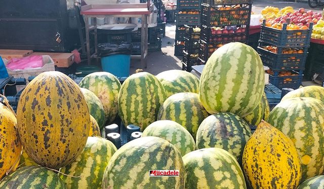 Diyarbakır’da karpuz ve kavun hala tezgahta! Yazın alamayan şimdi alıyor