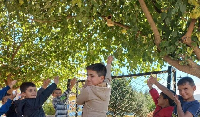 Diyarbakır’da yuvalar ağaçlara asıldı: Ekosisteme katkı sağlayacak