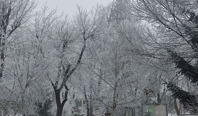 Türkiye’nin en soğuk yeri oldu: Termometreler eksi 6,4’ü gösterdi