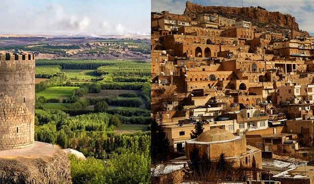 Diyarbakır'da tablo açıklandı: En fazla hizmet Mardin’e!