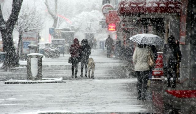 Muş, Van dahil 8 kente kar geliyor: Tarih verildi