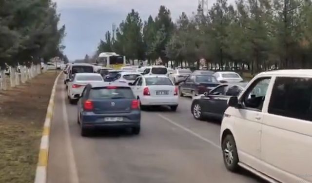 DİCLE ÜNİVERSİTESİ