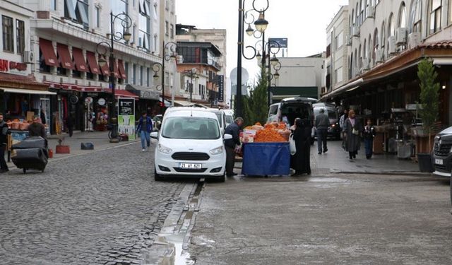 Diyarbakır’ın tarihi ilçesinde ‘sokak köpeği’ çağrısı: Mağduruz!