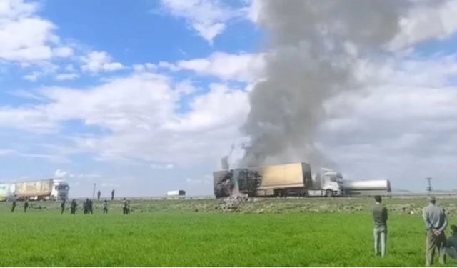 Mardin-Şanlıurfa yolunda şampuan yüklü TIR alev alev yandı