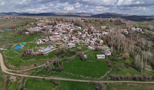 YAŞAM