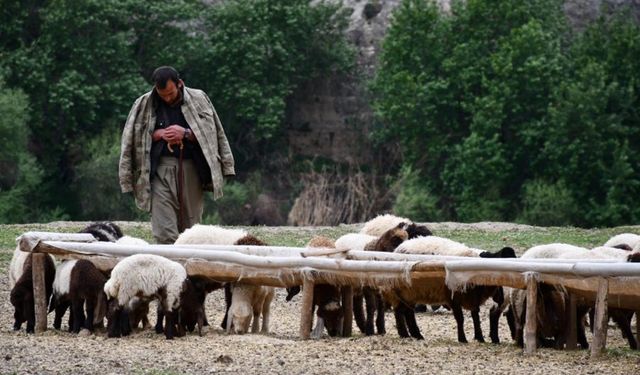 Cehennem Göçerlerinin zorlu yayla yolculuğu başlıyor