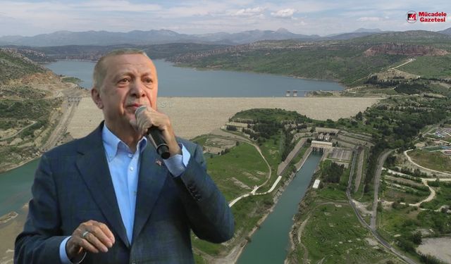 POLİTİKA
