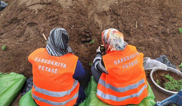 Diyarbakır’ın ilçesi 250 bin çiçekle bahara hazırlanıyor