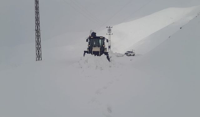 GÜNCEL