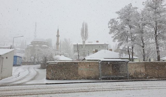 GÜNCEL