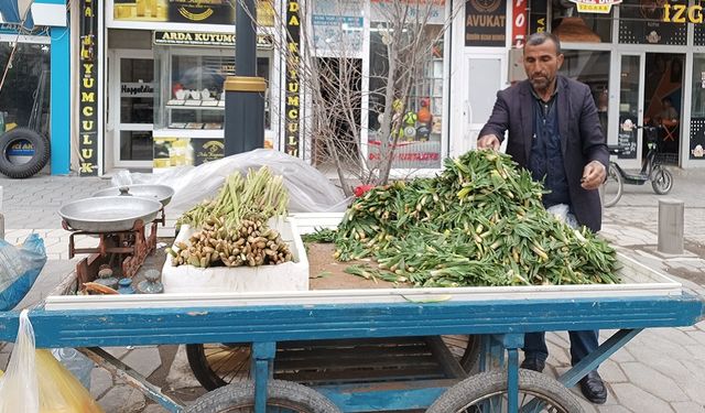 YAŞAM