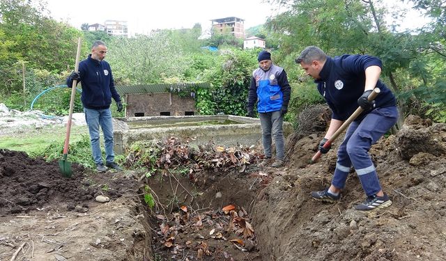 Balık atıkları gübre ve yeme dönüşüyor: Günlük 100 kilo!