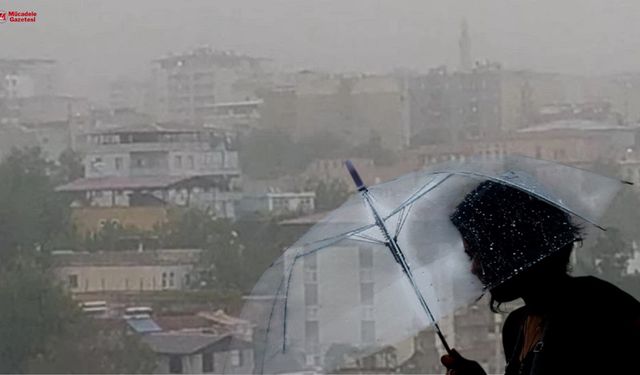 Bingöl Elazığ Malatya Tunceli’ye fırtınayla dolu dolu yağacak!