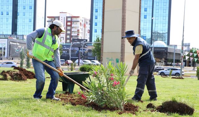 Diyarbakır’da 5 kavşak gülle süsleniyor: Yeşil görünüme kavuşuyor!