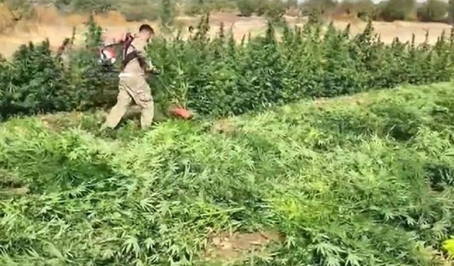 Bakan açıklama yaptı, 7 şüpheli yakalandı: Diyarbakır’da 70 ton ele geçirildi