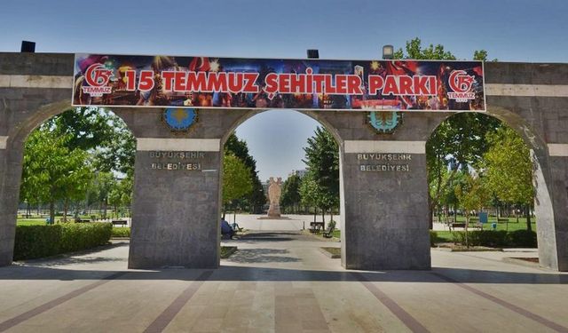 Diyarbakır’da ağaçlara zarar verildi: TEMA’dan açıklama!