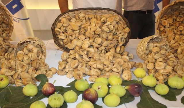 YAŞAM