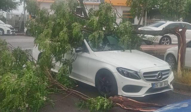 Diyarbakır’da yağmur etkili oldu: lüks otomobil ağaç altında kaldı!