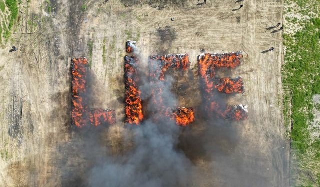 Diyarbakır’daki STK’lardan ‘Lice’ yazısına tepki: “Utanç verici”