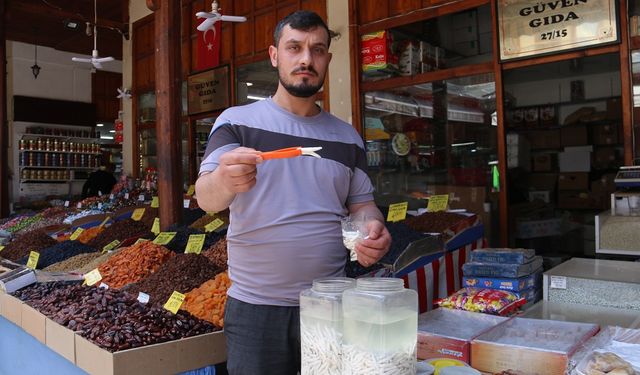 YAŞAM