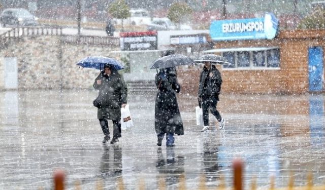 Erzurum’da Mayıs'ta kar yağdı