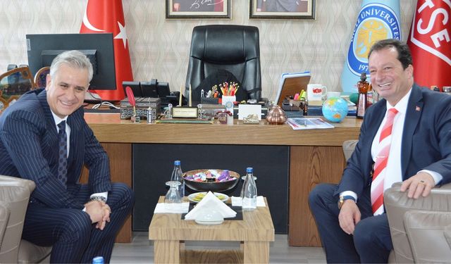 DİCLE ÜNİVERSİTESİ