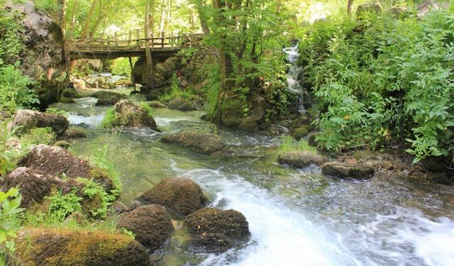 Diyarbakır’ın en güzel köyüydü: Köy halkı “gelmeyin” dedi!