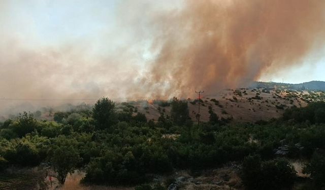 Diyarbakır’daki yangının çıkış nedeni ortaya çıktı!