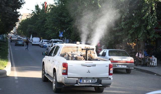 Diyarbakır’da havalar ısındı, böcekler çıktı: İlaçlamaya hız verildi