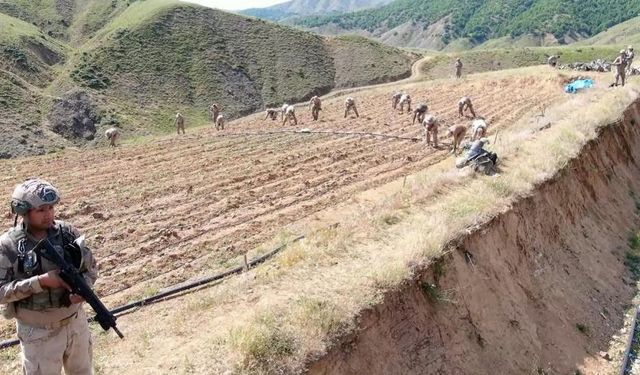 Diyarbakır Lice’de 12 milyon 389 bin kök imha edildi: 22 tutuklama