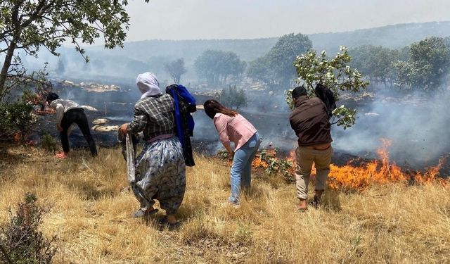 Diyarbakır - Mardin sınırında orman yangını: 3 saatte kontrol altına alındı