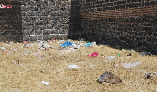 Diyarbakır Surlarının dipleri çöplüğe döndü: Otlar kurudu!