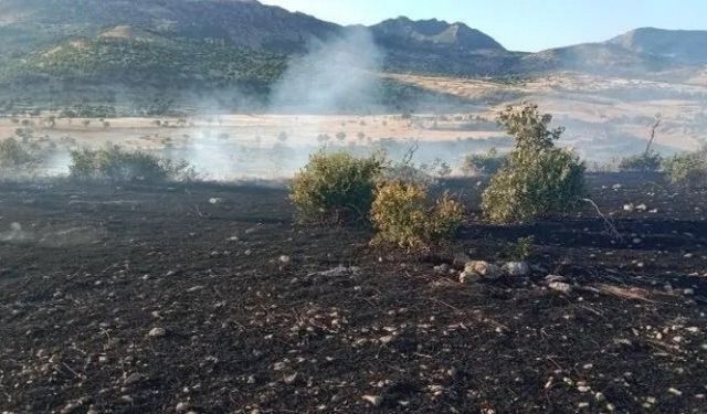 Diyarbakır’da 100 dönüm ekili arazi kül oldu