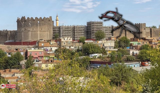 Diyarbakır’da ilk kez ortaya çıktı: Öldürmenin cezası 557 bin lira!