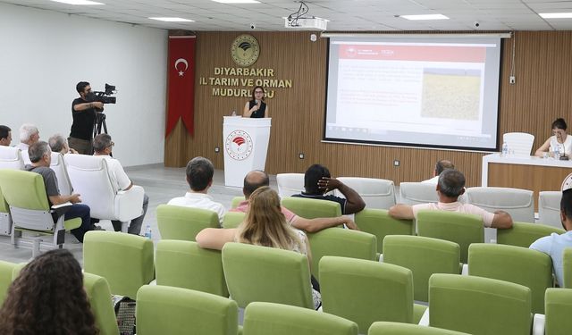 Diyarbakır’da Karacadağ çeltiğinin önemi vurgulandı