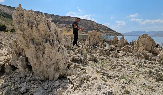 Güzellik mi, tehlike mi? Van Gölü sahilleri mikrobiyalit tarlasına döndü