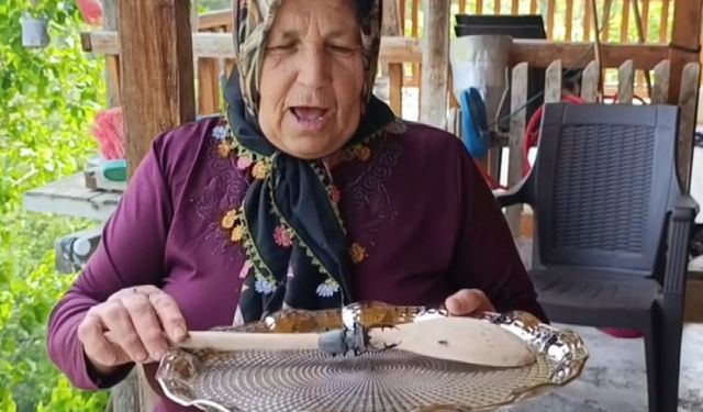 YAŞAM