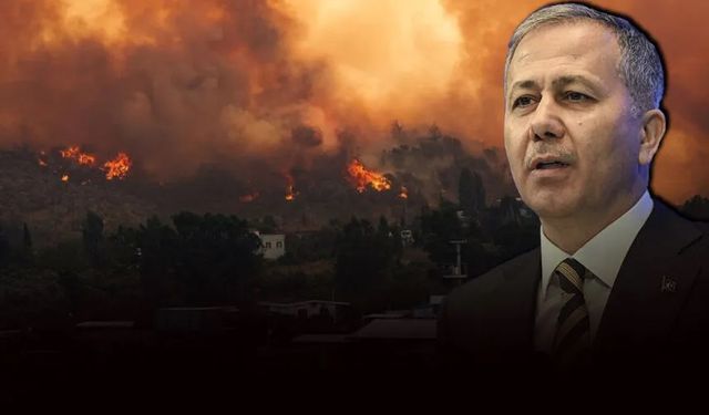 Bakan Yerlikaya, hasar boyutunu açıkladı: İşte orman yangınlarının acı bilançosu!