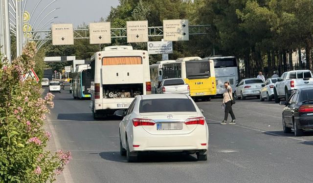 DİCLE ÜNİVERSİTESİ