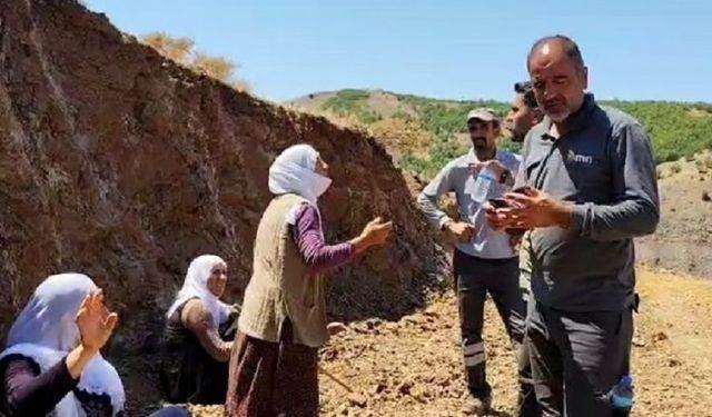 Diyarbakır’da binlerce ağaç kesildi: Kadınlar kepçenin önünü kesti