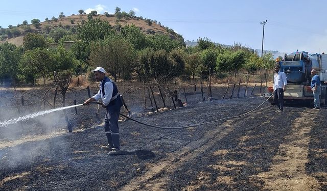 Diyarbakır’da orman yangını: Ekipler seferber oldu!