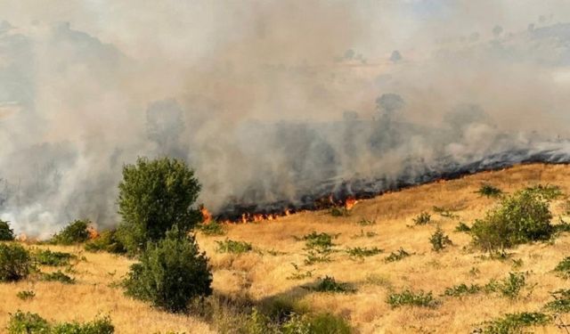İşte Diyarbakır'daki orman yangınlarında son durum!