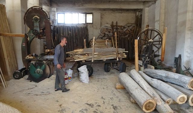 Malatya’da üç kuşaktır devam eden meslek: Ağaçlara şekil veriyor!