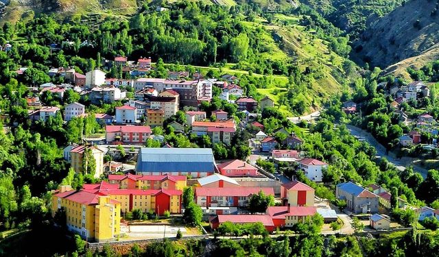 Bitlis'in yöresel lezzeti ‘Avşor Çorbası' tescillendi