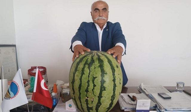 Diyarbakır Karpuzuna Batman’dan rakip! İşte ağırlığı