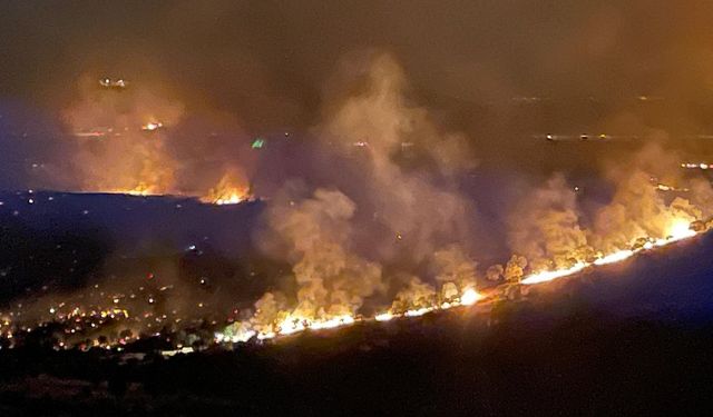 Diyarbakır Lice’de orman yangını çıktı!