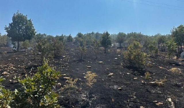 Diyarbakır Lice’de yangın: Kontrol altına alındı