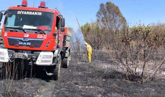 Diyarbakır Lice’de yine yangın çıktı!