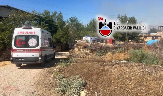 Diyarbakır Valiliği’nden ‘Lice’ açıklaması